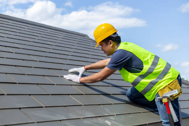 Best Roof Repair Services  in Mayville, MI