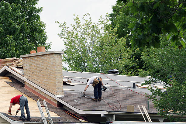 Best Flat Roof Repair Services  in Mayville, MI