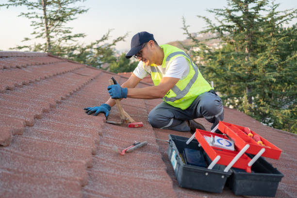 Best Roof Repair Specialists  in Mayville, MI