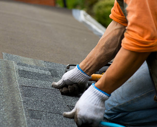 Best Metal Roofing Contractor  in Mayville, MI
