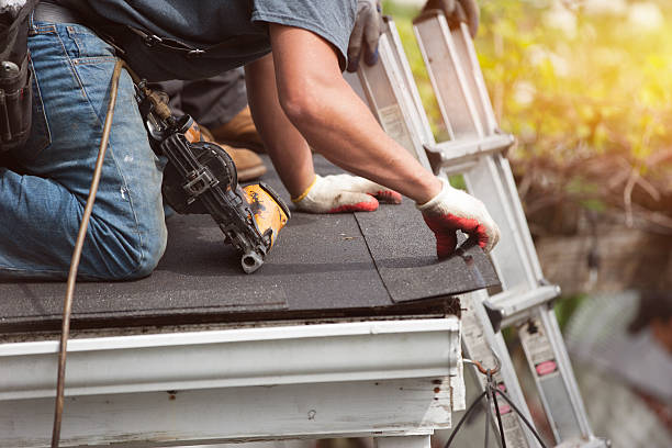 Best Local Roofing Companies  in Mayville, MI